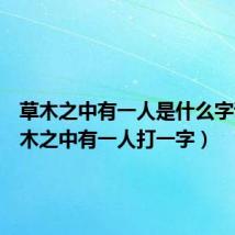 草木之中有一人是什么字谜（草木之中有一人打一字）
