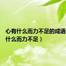 心有什么而力不足的成语(心有什么而力不足)