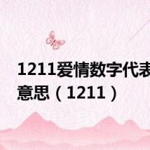 1211爱情数字代表什么意思(1211)