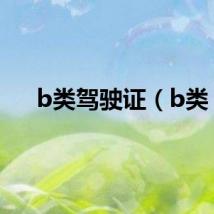 b类驾驶证（b类）