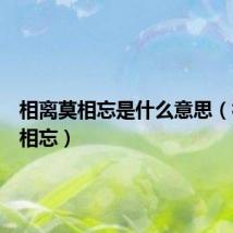 相离莫相忘是什么意思（相离莫相忘）