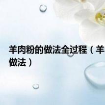 羊肉粉的做法全过程（羊肉粉的做法）