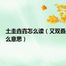土圭垚壵怎么读（又双叒叕是什么意思）