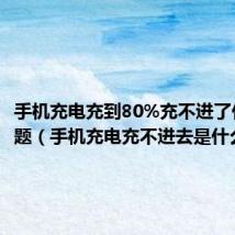 手机充电充到80%充不进了什么问题（手机充电充不进去是什么原因）