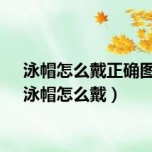 泳帽怎么戴正确图片（泳帽怎么戴）