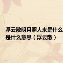 浮云散明月照人来是什么歌歌词是什么意思（浮云散）