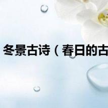 冬景古诗（春日的古诗）