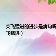 突飞猛进的进步是病句吗?(突飞猛进)