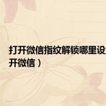 打开微信指纹解锁哪里设置(打开微信)