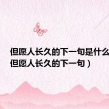 但愿人长久的下一句是什么诗句（但愿人长久的下一句）
