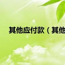 其他应付款（其他）