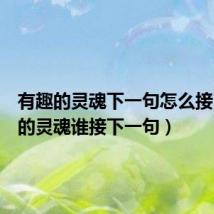 有趣的灵魂下一句怎么接（有趣的灵魂谁接下一句）