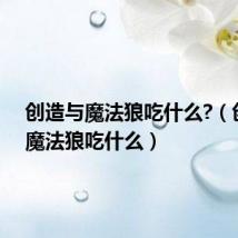 创造与魔法狼吃什么?（创造与魔法狼吃什么）