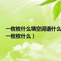 一枚枚什么填空词语什么填空(一枚枚什么)