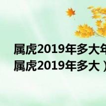 属虎2019年多大年龄(属虎2019年多大)
