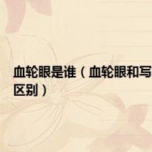 血轮眼是谁（血轮眼和写轮眼的区别）