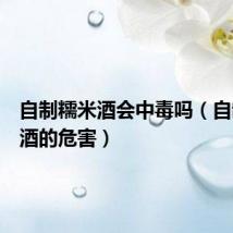 自制糯米酒会中毒吗(自制糯米酒的危害)