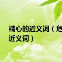 精心的近义词（危害的近义词）