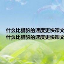 什么比猎豹的速度更快课文内容（什么比猎豹的速度更快课文）