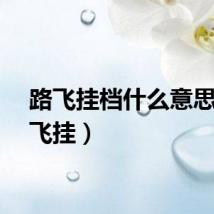 路飞挂档什么意思（路飞挂）