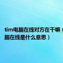 tim电脑在线对方在干嘛（tim电脑在线是什么意思）