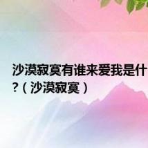 沙漠寂寞有谁来爱我是什么歌曲?（沙漠寂寞）