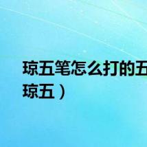 琼五笔怎么打的五笔（琼五）