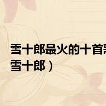 雪十郎最火的十首歌曲（雪十郎）