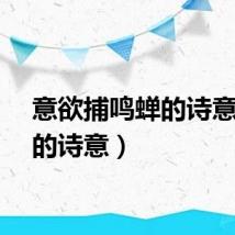 意欲捕鸣蝉的诗意（蝉的诗意）