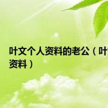 叶文个人资料的老公（叶文个人资料）
