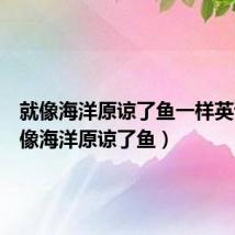 就像海洋原谅了鱼一样英语(就像海洋原谅了鱼)
