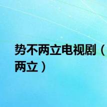 势不两立电视剧（誓不两立）