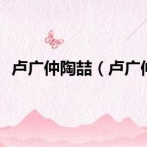 卢广仲陶喆（卢广仲）