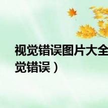 视觉错误图片大全（视觉错误）