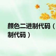 颜色二进制代码（二进制代码）