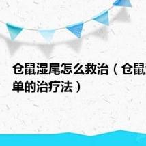 仓鼠湿尾怎么救治(仓鼠湿尾简单的治疗法)