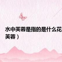 水中芙蓉是指的是什么花（水中芙蓉）