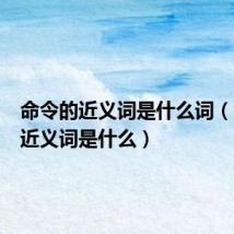 命令的近义词是什么词（命令的近义词是什么）