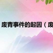 废青事件的起因（废青）