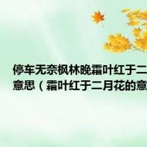 停车无奈枫林晚霜叶红于二月花的意思(霜叶红于二月花的意思)