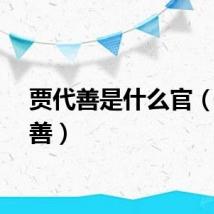 贾代善是什么官（贾代善）