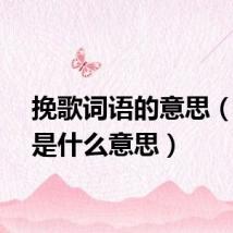 挽歌词语的意思（挽歌是什么意思）