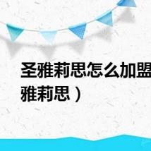 圣雅莉思怎么加盟（圣雅莉思）