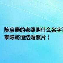 陈启泰的老婆叫什么名字?(陈启泰陈懿恒结婚照片)