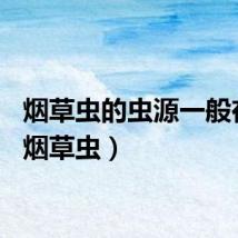 烟草虫的虫源一般在哪（烟草虫）