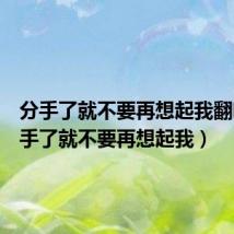 分手了就不要再想起我翻唱（分手了就不要再想起我）