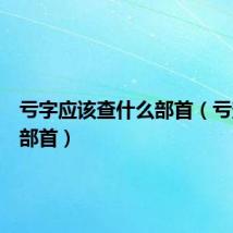 亏字应该查什么部首（亏查什么部首）