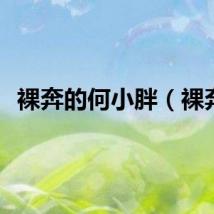 裸奔的何小胖（裸奔）