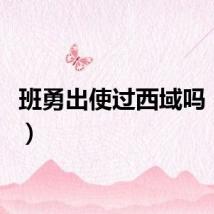 班勇出使过西域吗（班勇）