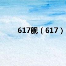 617舰（617）